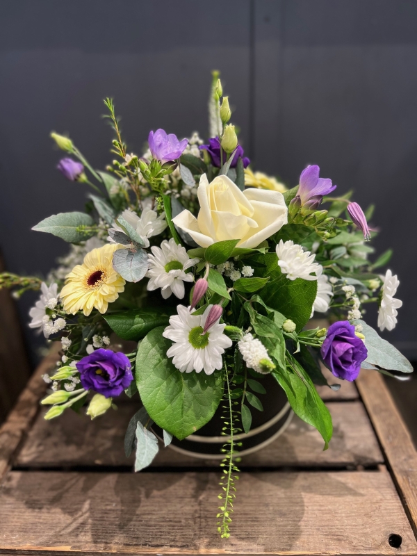 Lavender Haze Hatbox