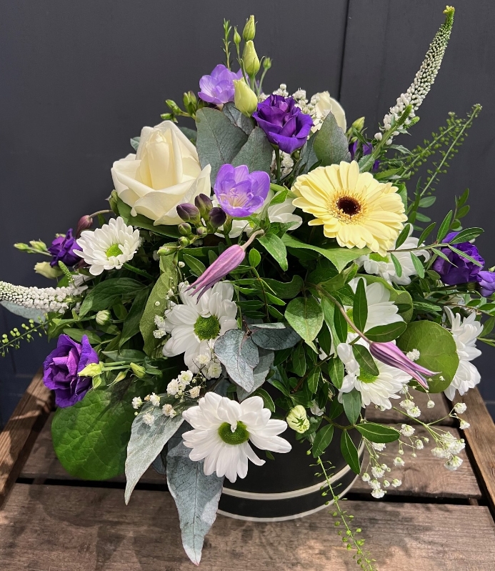 Lavender Haze Hatbox