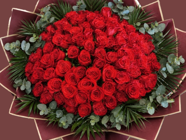 100 Red Roses  Wow
