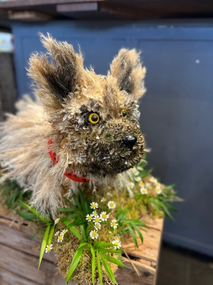 Doggie   Specialist tribute