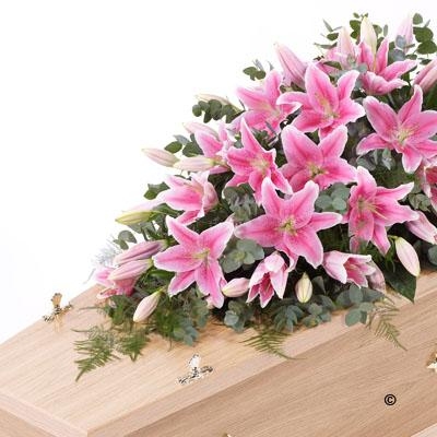 Lily Casket Spray Pink