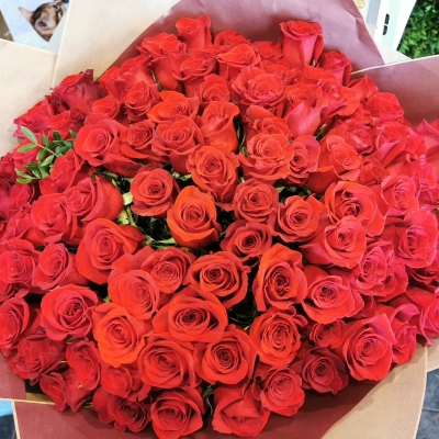 100 Roses Handtied