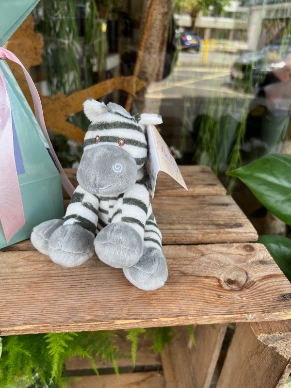 New Baby Gift Set