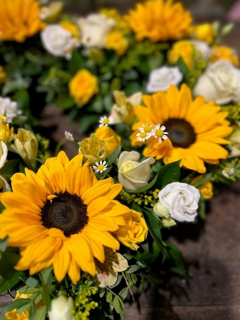 Sunflower open heart