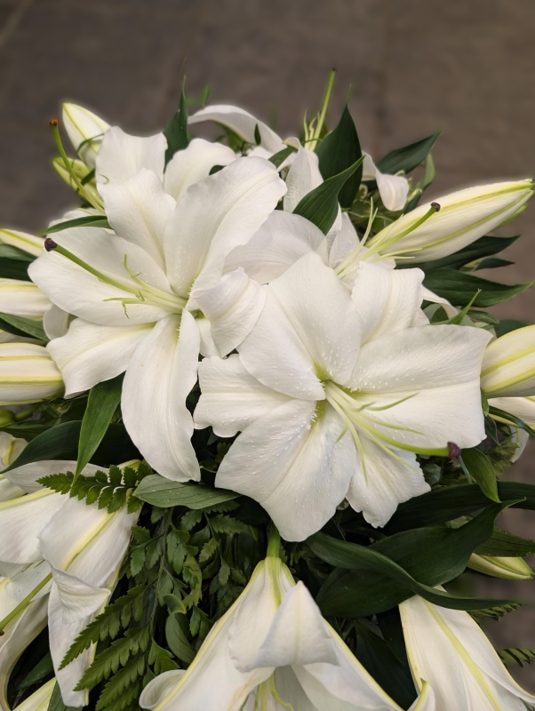 White Lily Teardrop spray