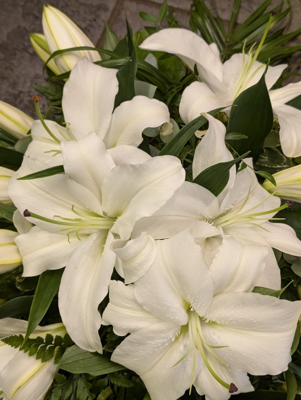 White Lily Teardrop spray