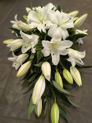 White Lily Teardrop spray