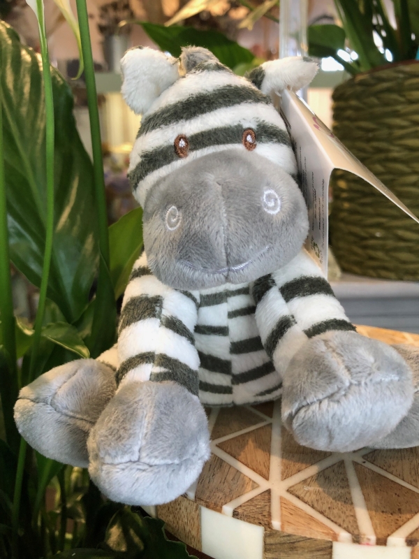 Zeddy Zebra