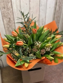 Tulips from Amsterdam