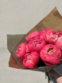 Peony Love