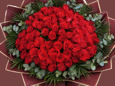 100 Red Roses  Wow