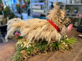 Doggie   Specialist tribute