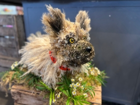Doggie   Specialist tribute