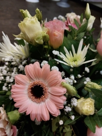 Classic Posy Pink and Whites