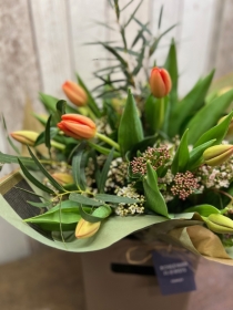 Tulips from Amsterdam