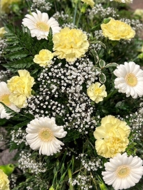 Germini and Carnation Yellow & White teardrop spray