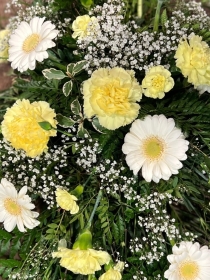 Germini and Carnation Yellow & White teardrop spray