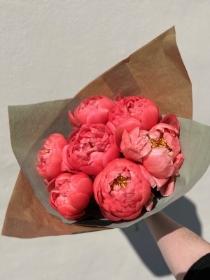 Peony Love