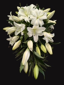 White Lily Teardrop spray