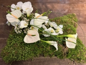 White natural pillow